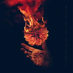 No Tomorrow Tab by Wolves At The Gate