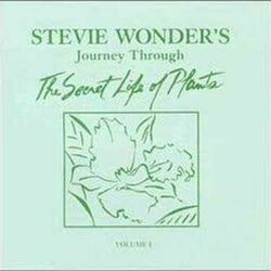 Come Back As A Flower by Stevie Wonder