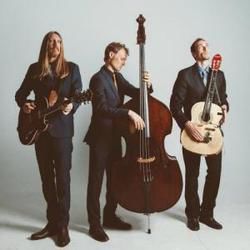 Tried And Tempted Bass Tab by The Wood Brothers