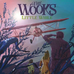 Little While Chords by The Wooks