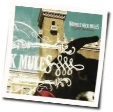 Central Daylight Time Chords by Wrinkle Neck Mules