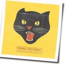 I Never Thought It Would Go This Far Chords by Wrinkle Neck Mules