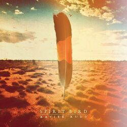 Morning Birds Chords by Rudd Xavier