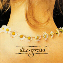 Grass Bass Tab by XTC