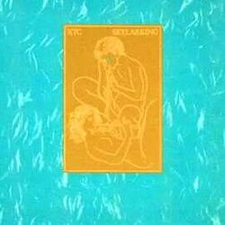 Summers Cauldron Bass Tab by XTC