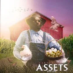 Assets Fowl Coop Chords by Yaksta