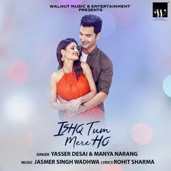 Tum Chale Gaye Chords by Yasser Desai