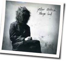 Elephant King Chords by Yellow Ostrich