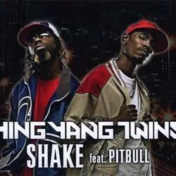 Shake Chords by Ying Yang Twins