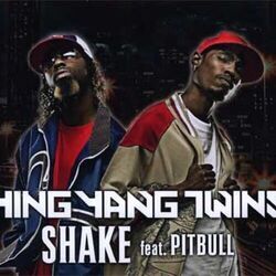 Shake Chords by Ying Yang Twins