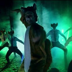 The Fox Bass tabs by Ylvis