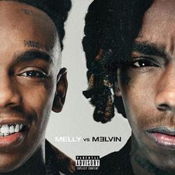 Suicidal by Ynw Melly