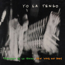 A Shy Dog Bass Tab by Yo La Tengo