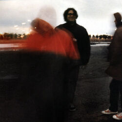 Tiny Birds Tab by Yo La Tengo