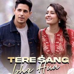 Tere Sang Ishq Hua Chords by DJ Yodha