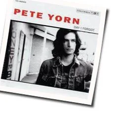 I Wanna Be Your Boyfriend Bass Tab by Pete Yorn