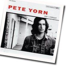 I Wanna Be Your Boyfriend by Pete Yorn