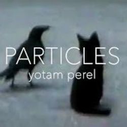 Particles Ukulele by Yotam Perel