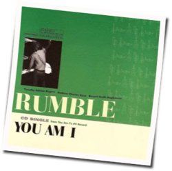 Arse Kickin Lady From The North-west Chords by You Am I