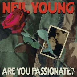 Don't Say You Love Me Chords by Neil Young