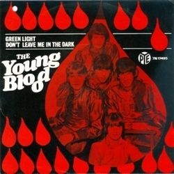 Don't Leave Me In The Dark Bass Tab by Youngblood