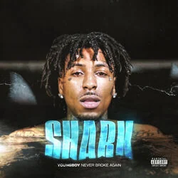 Shark Chords by YoungBoy Never Broke Again