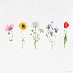 Wildflower (Ver2) Chords by Yung Kai