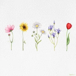 Wildflower Chords by Yung Kai