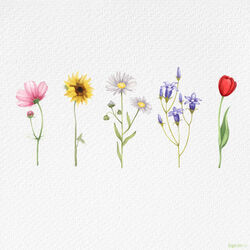 Wildflower Chords by Yung Kai