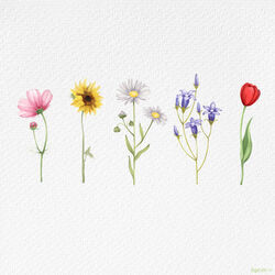 Wildflower  Chords by Yung Kai