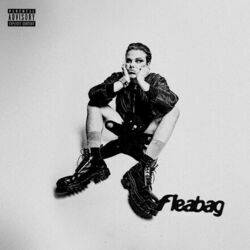 Fleabag Chords by Yungblud