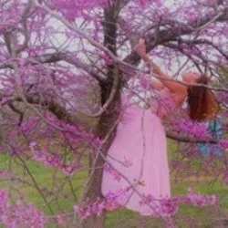 Butterflys Repose Chords by Zabawa