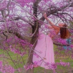 Butterflys Repose Chords by Zabawa