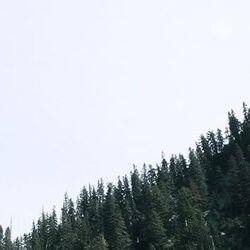 Every Weekend Chords by Zach Seabaugh