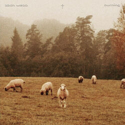 Scars Chords by Zach Webb