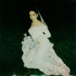 Zalia chords for Raj