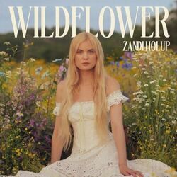 Wildflower Chords by Zandi Holup