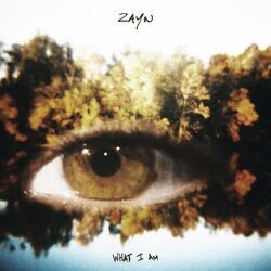 What I Am Chords by Zayn Malik