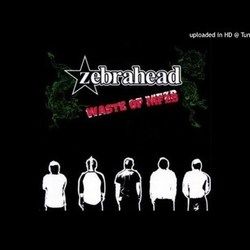 Veils And Visions by Zebrahead