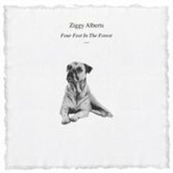Four Feet In The Forest Chords by Ziggy Alberts