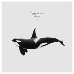 Tattoos Chords by Ziggy Alberts