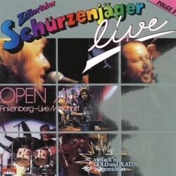 Ein Tag Wie Ich Ihn Mag Chords by Zillertaler Schürzenjäger