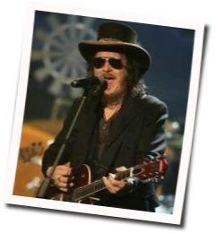 Baila Morena  Chords by Zucchero