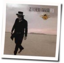 Delicato Chords by Zucchero