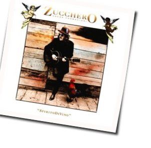 She's My Baby Chords by Zucchero