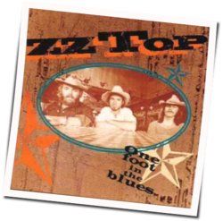 Sure Got Cold After The Rain Fell  Chords by ZZ Top