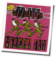 Velcro Fly Tab by ZZ Top