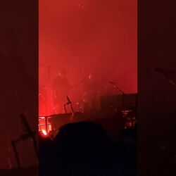 Guitarhead